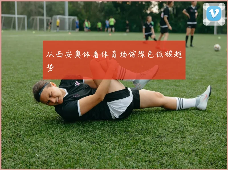 从西安奥体看体育场馆绿色低碳趋势