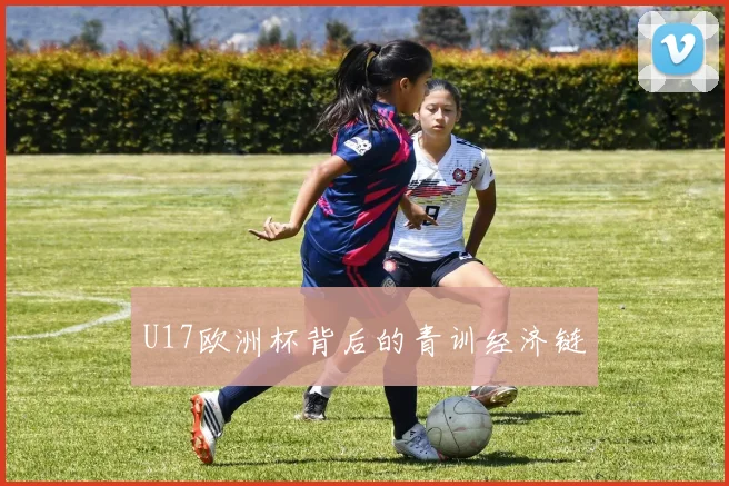 U17欧洲杯背后的青训经济链