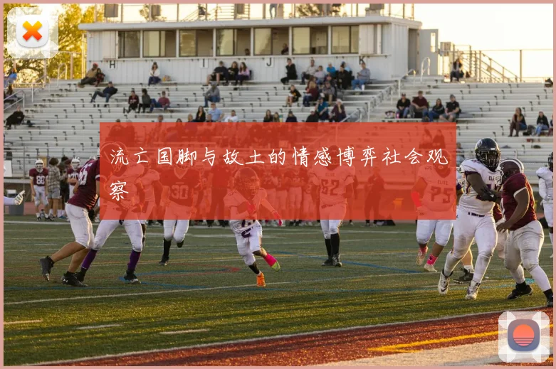 流亡国脚与故土的情感博弈社会观察