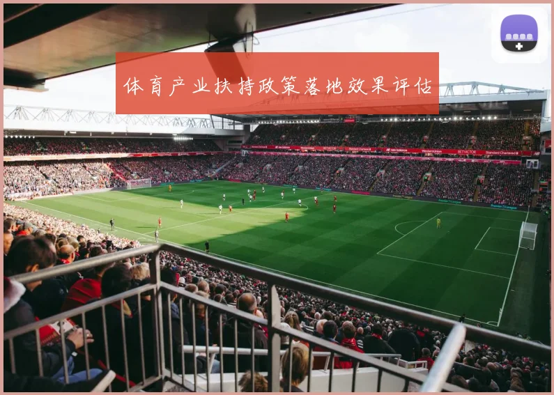 体育产业扶持政策落地效果评估